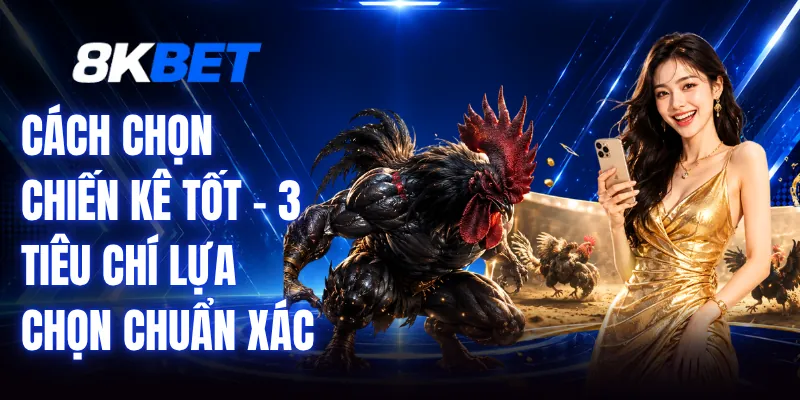 Cách Chọn Chiến Kê Tốt - 3 Tiêu Chí Lựa Chọn Chuẩn Xác 1 Cách Chọn Chiến Kê Tốt - 3 Tiêu Chí Lựa Chọn Chuẩn Xác