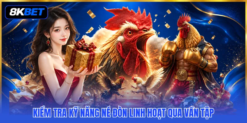 Cách Chọn Chiến Kê Tốt - 3 Tiêu Chí Lựa Chọn Chuẩn Xác 4 Kiểm tra kỹ năng né đòn linh hoạt qua vần tập