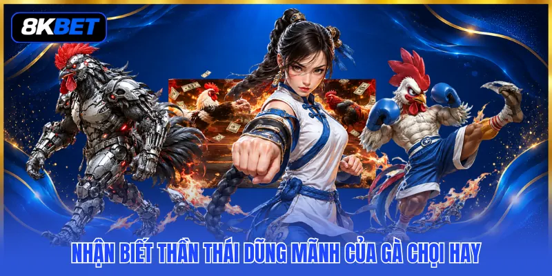 Cách Chọn Chiến Kê Tốt - 3 Tiêu Chí Lựa Chọn Chuẩn Xác 3 Nhận biết thần thái dũng mãnh của gà chọi hay