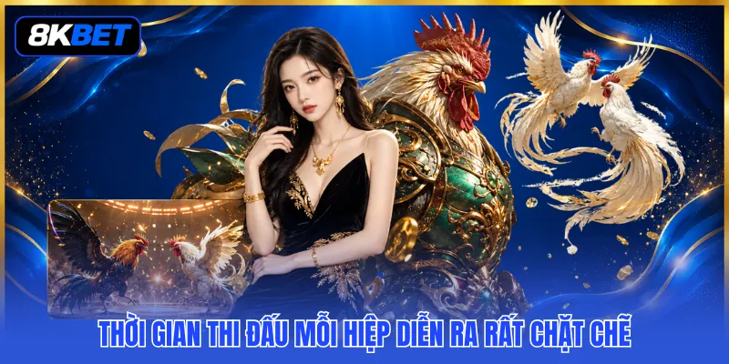 Luật Chơi Đá Gà - Quy Chuẩn Tranh Tài Chuẩn Xác Nhất 2026 3 Thời gian thi đấu mỗi hiệp diễn ra rất chặt chẽ