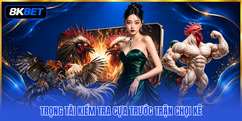 Đá Gà Cựa Sắt Là Gì? Tìm Hiểu Sự Khác Biệt Dành Cho Kê Thủ 4 Trọng tài kiểm tra cựa trước trận chọi kê